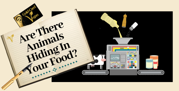 Are There Animals Hiding In Your Food?