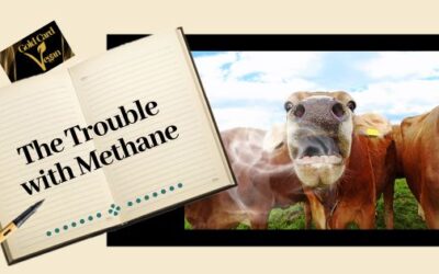 Methane, a Significant Environmental Problem.