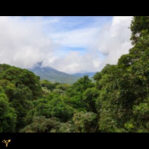 rainforest Costa Rica